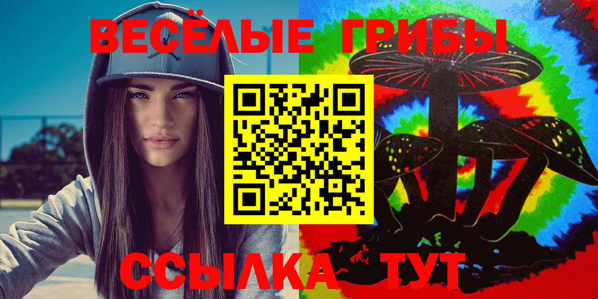 Псилоцибиновые грибы GOLDEN TEACHER Кропоткин
