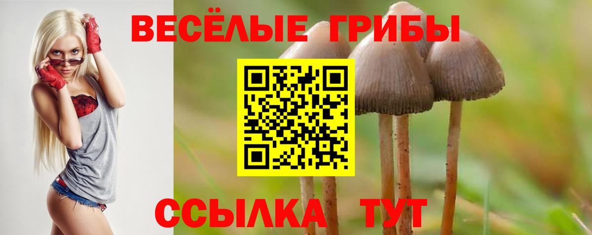 Галлюциногенные грибы мухоморы  Вход с VPN  Кропоткин 